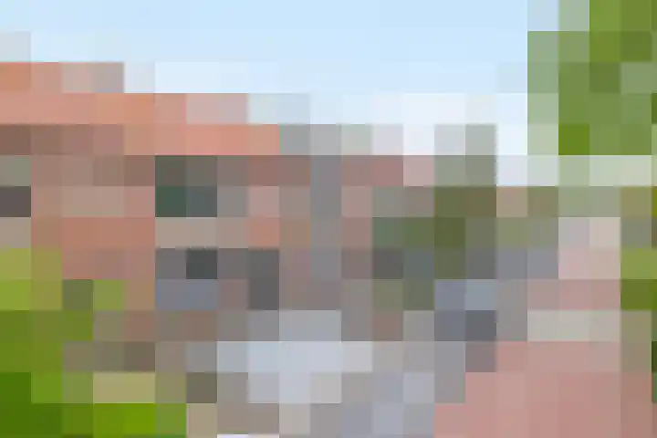 Lorentzweg 21 Lekkerkerk thumbnail 6