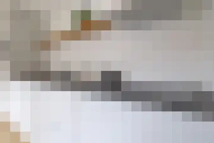 Lorentzweg 3 Hilversum thumbnail 14