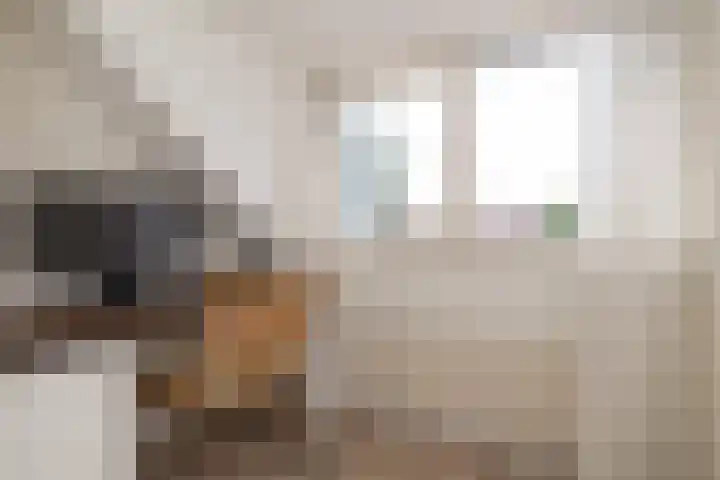 Lorentzweg 3 Hilversum thumbnail 27