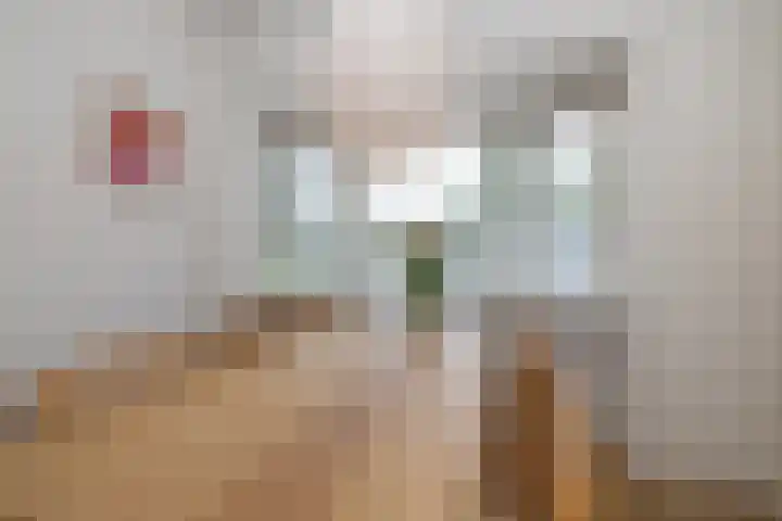 Lorentzweg 3 Hilversum thumbnail 7
