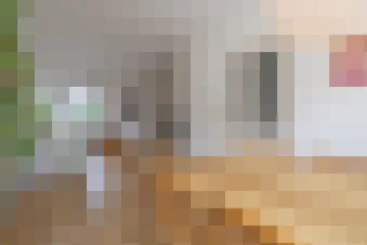 Lorentzweg 3 Hilversum thumbnail 8