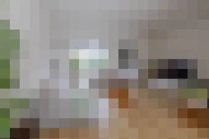 Lorentzweg 3 Hilversum thumbnail 9