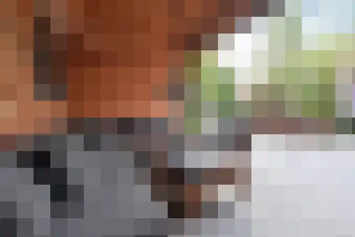 Lorentzweg 46 C 2 Hilversum thumbnail 25