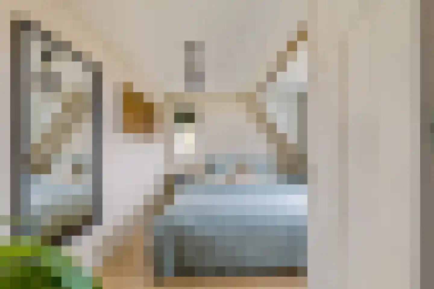 Lorentzweg 61 Hilversum thumbnail 27