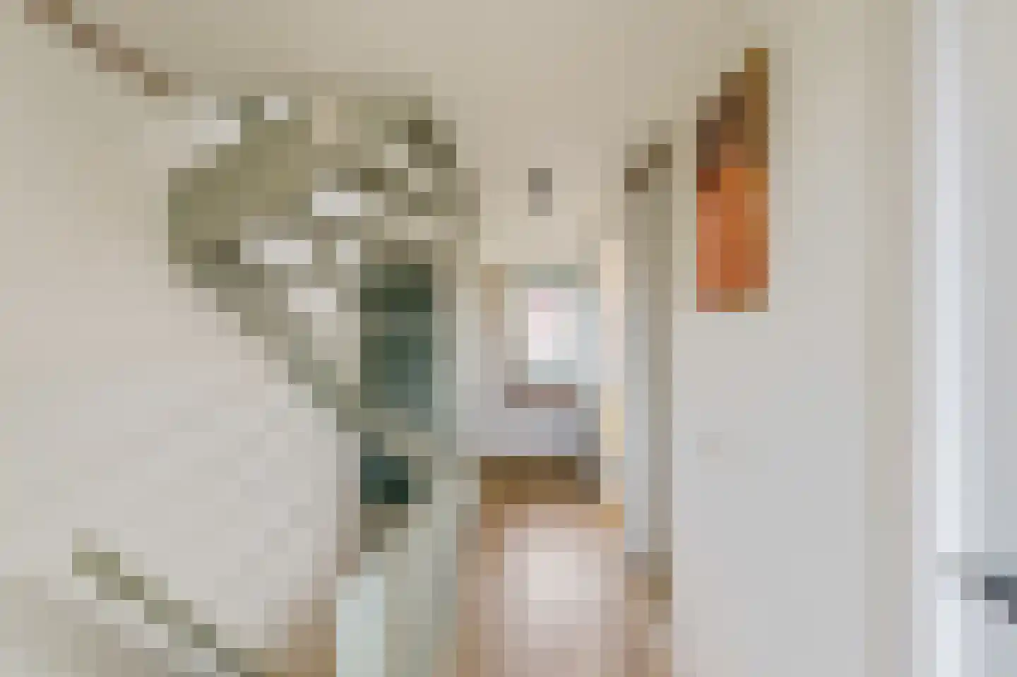 Lorentzweg 61 Hilversum thumbnail 39