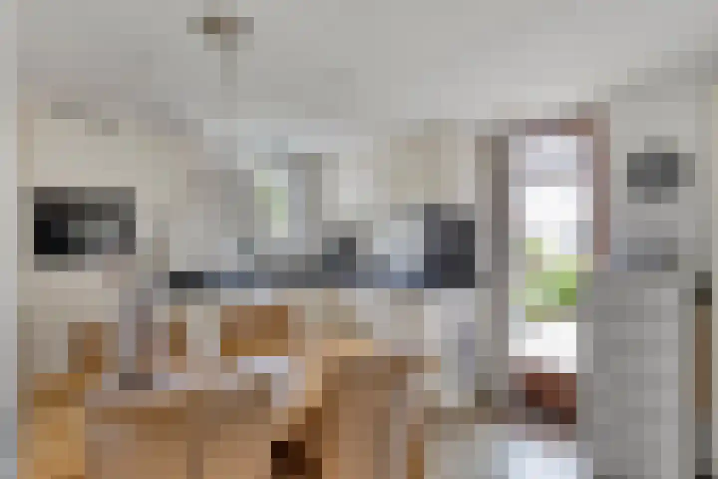 Loretostraat 2 Simpelveld thumbnail 18