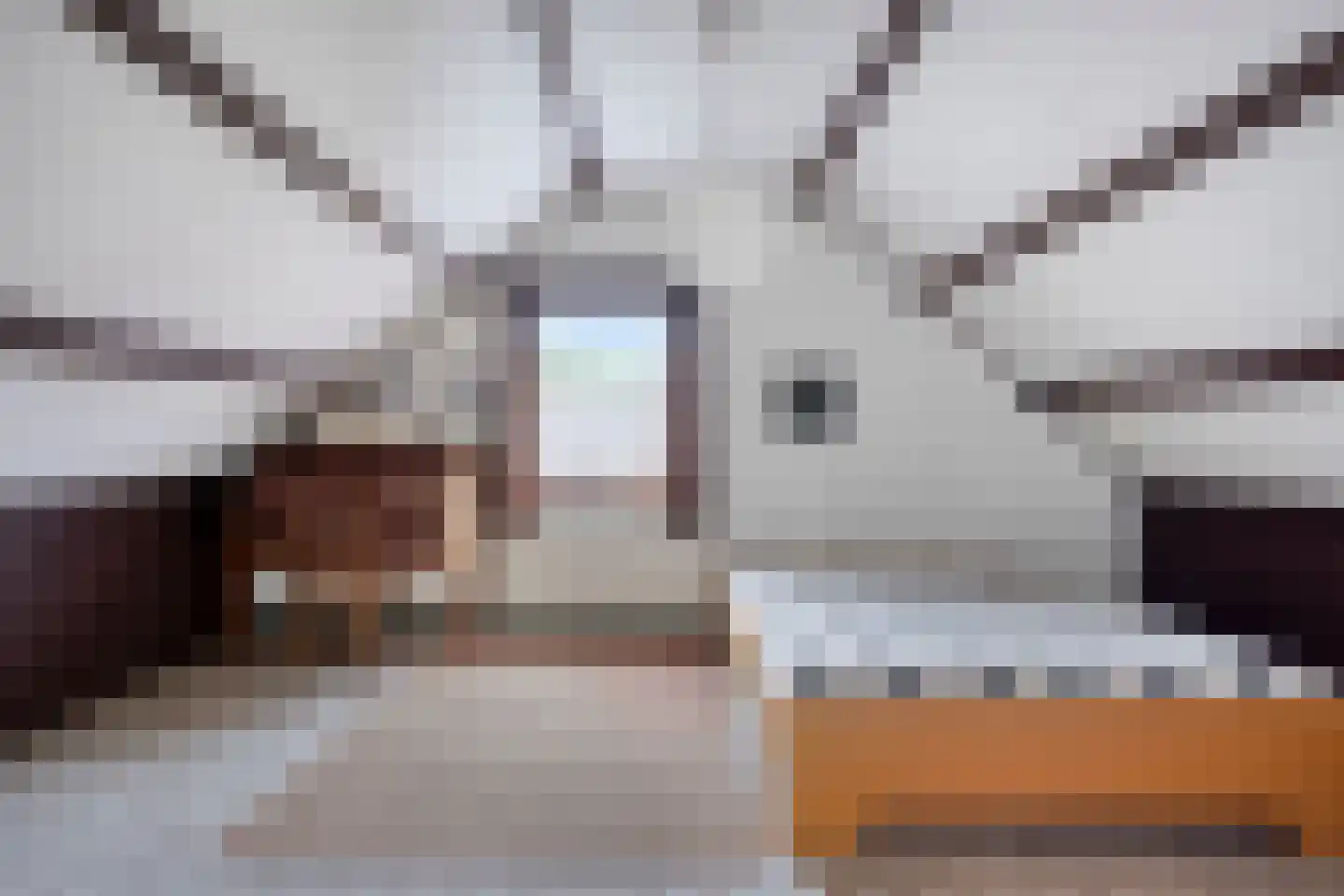 Loretostraat 2 Simpelveld thumbnail 33