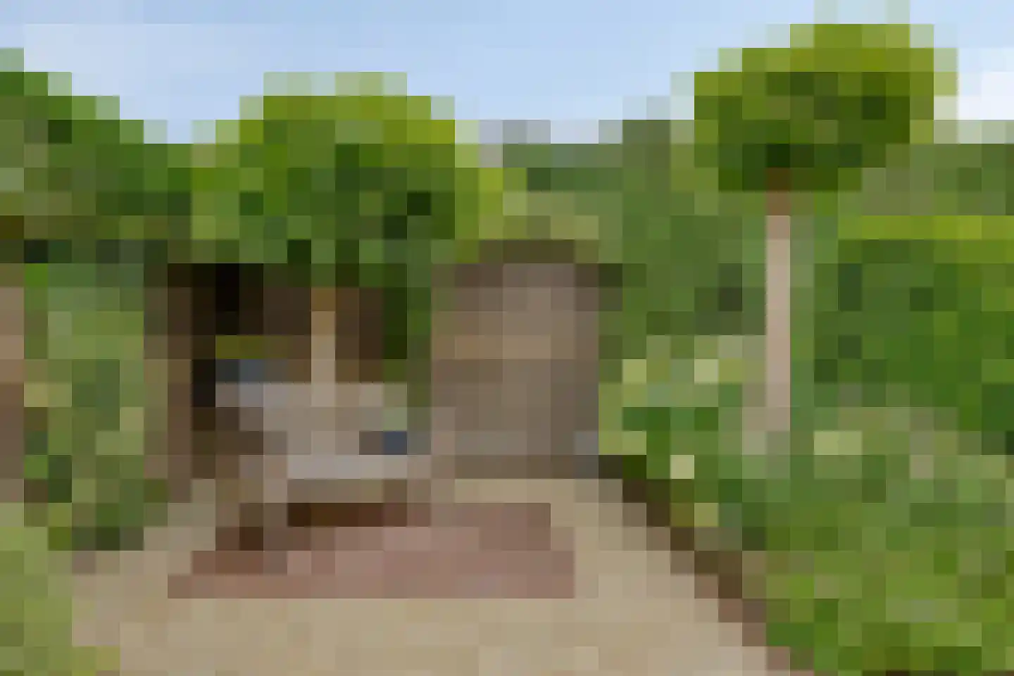 Loretostraat 2 Simpelveld thumbnail 36