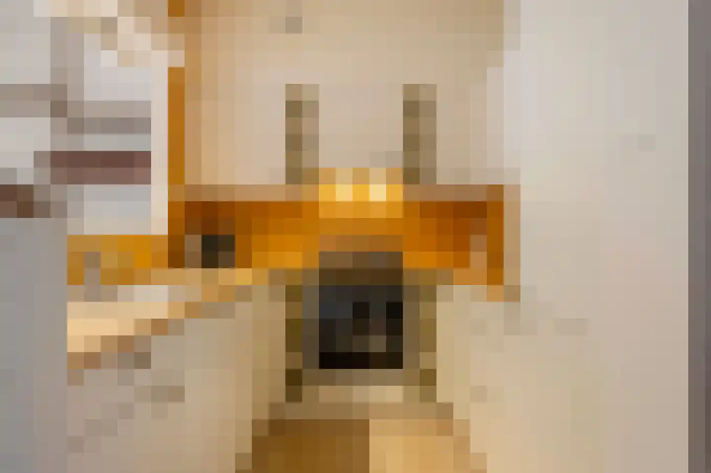Lorkeboomstraat 10 Arnhem thumbnail 10