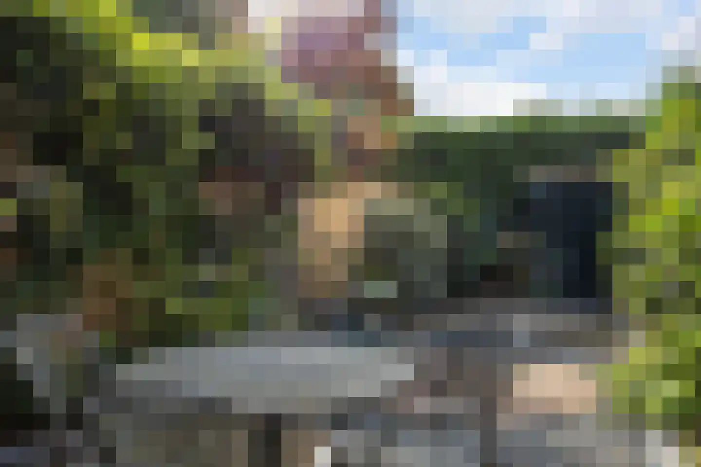 Lorkeboomstraat 10 Arnhem thumbnail 16