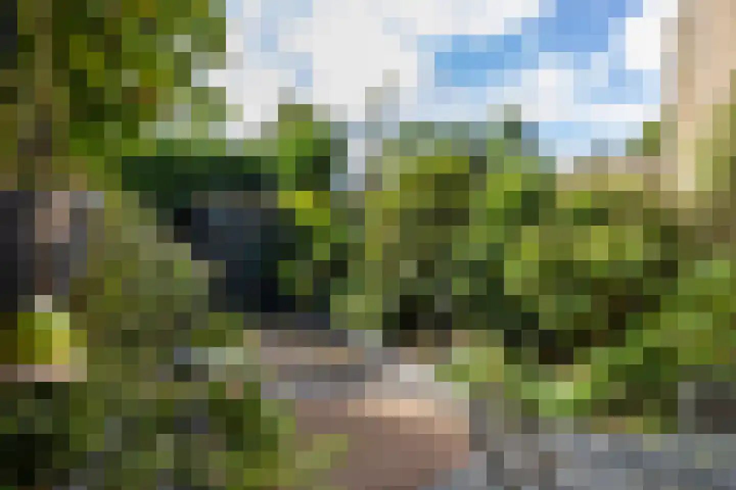 Lorkeboomstraat 10 Arnhem thumbnail 18