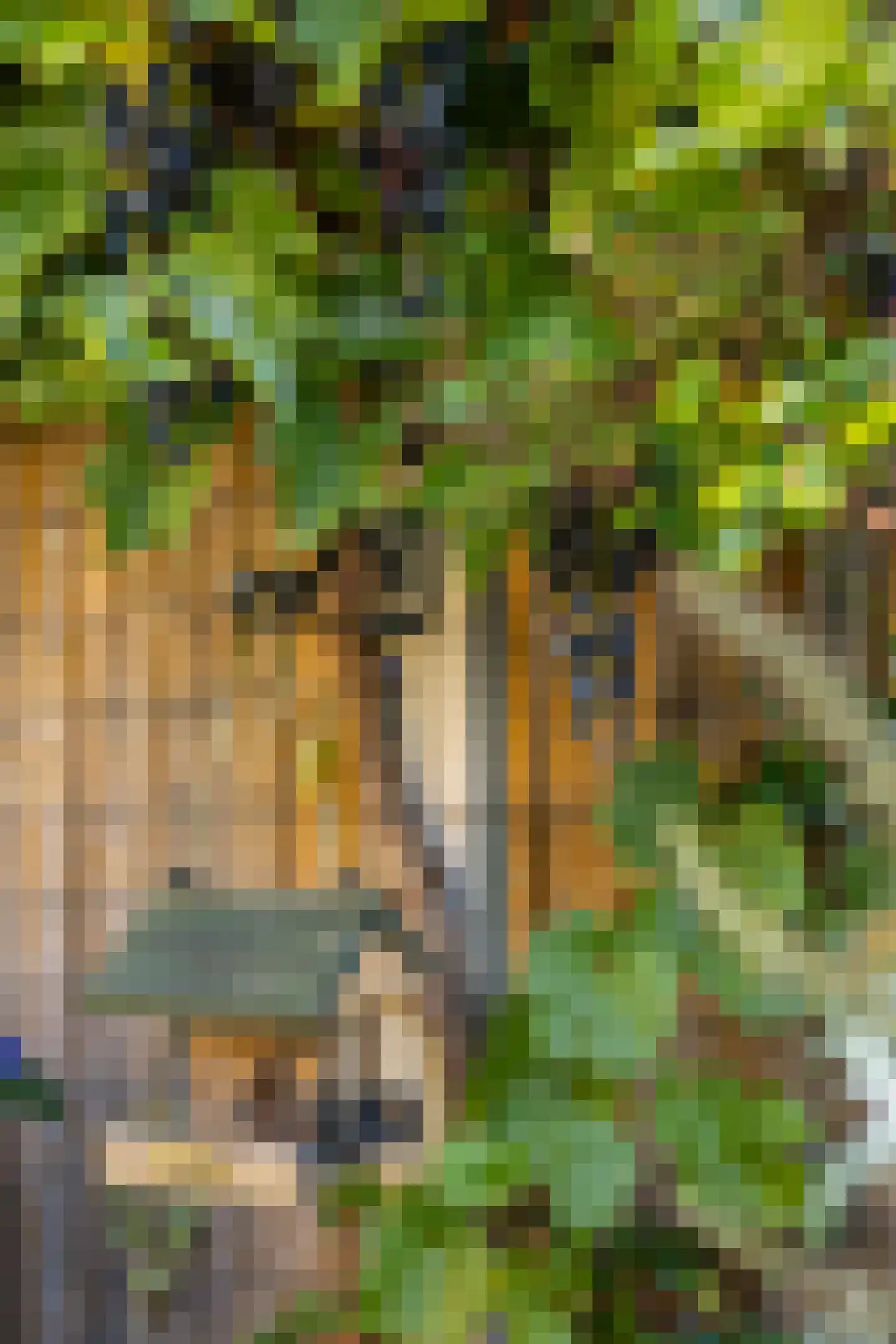 Lorkeboomstraat 10 Arnhem thumbnail 19