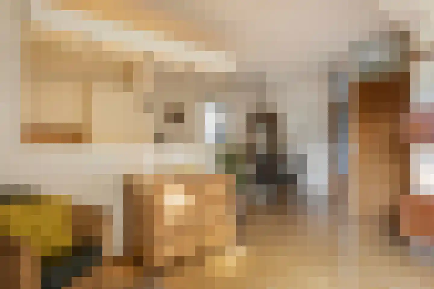 Lorkeboomstraat 10 Arnhem thumbnail 8