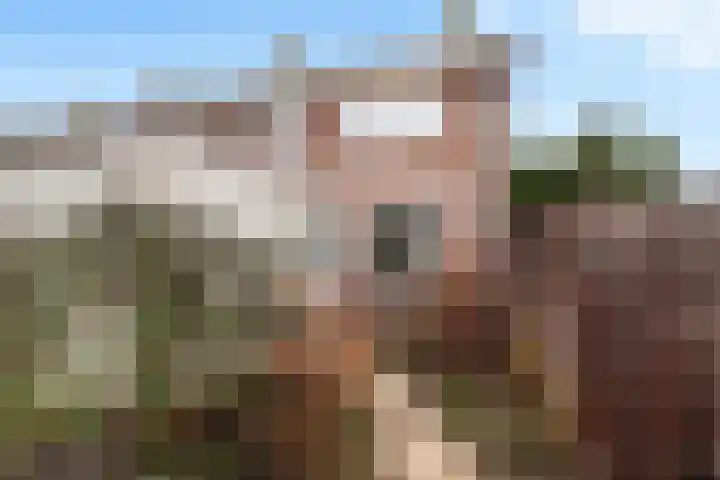 Lorkenstraat 1 Nijmegen thumbnail 6
