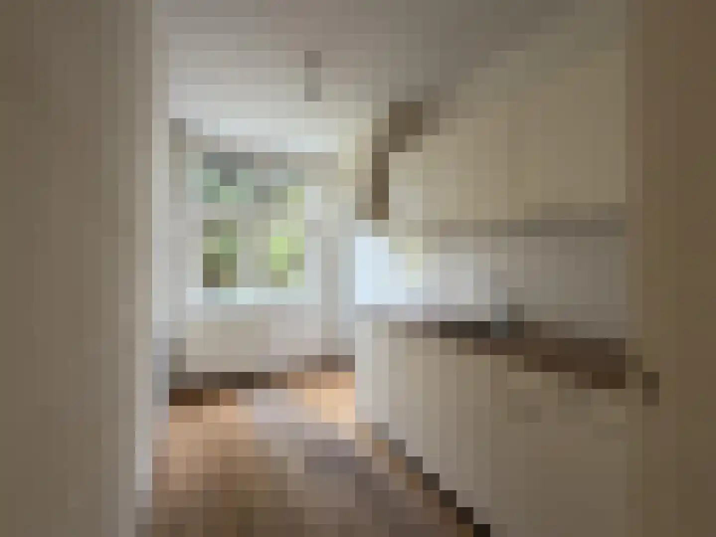Lorkenstraat 44 Nijmegen thumbnail 12