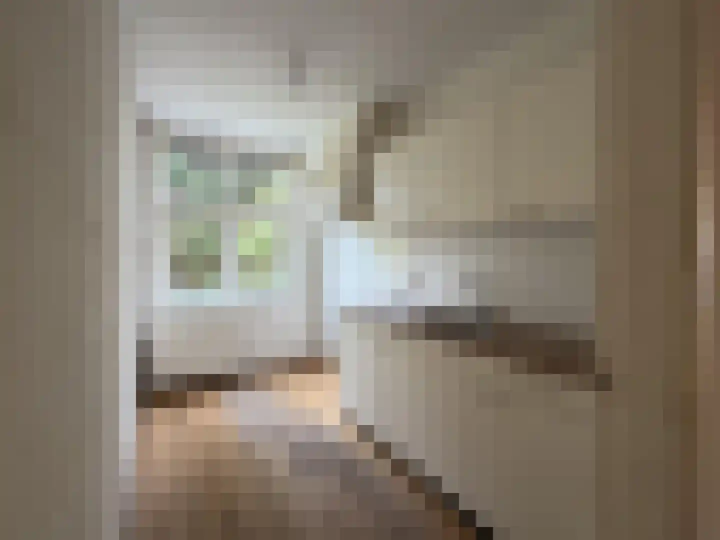 Lorkenstraat 44 Nijmegen thumbnail 4