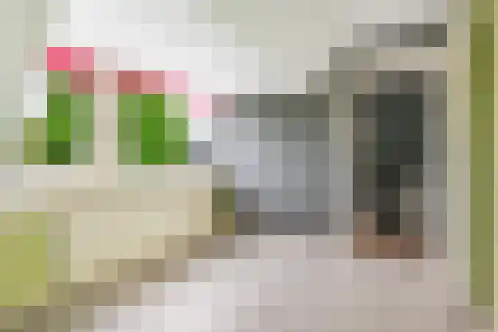 Lorkenstraat 7 Nijmegen thumbnail 17
