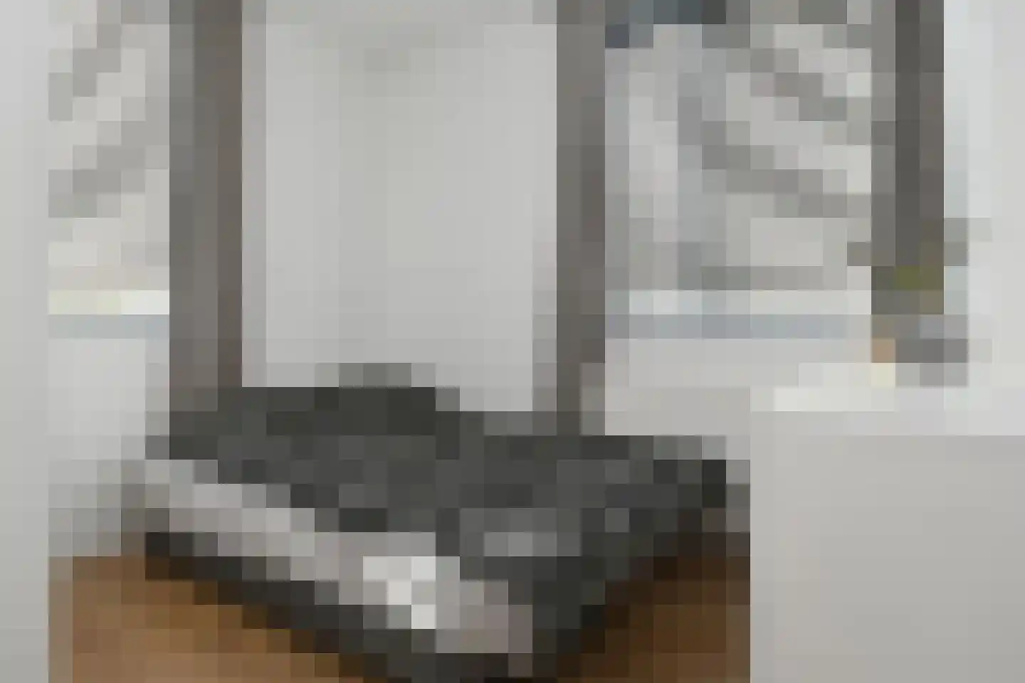 Lorrainelaan 1 Eindhoven thumbnail 12