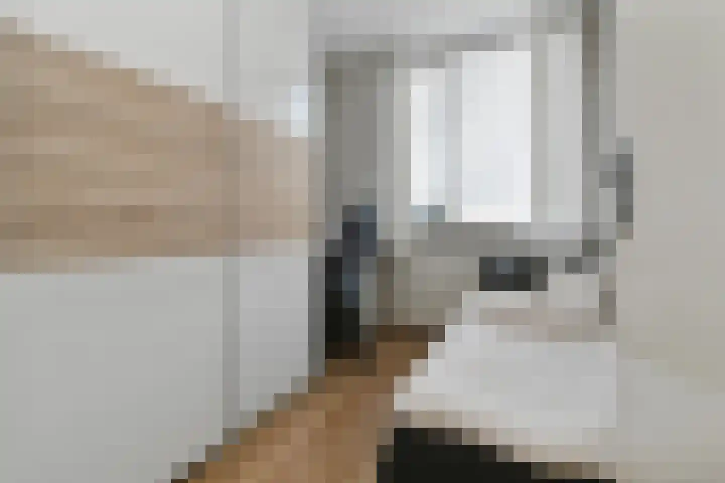 Lorrainelaan 1 Eindhoven thumbnail 13