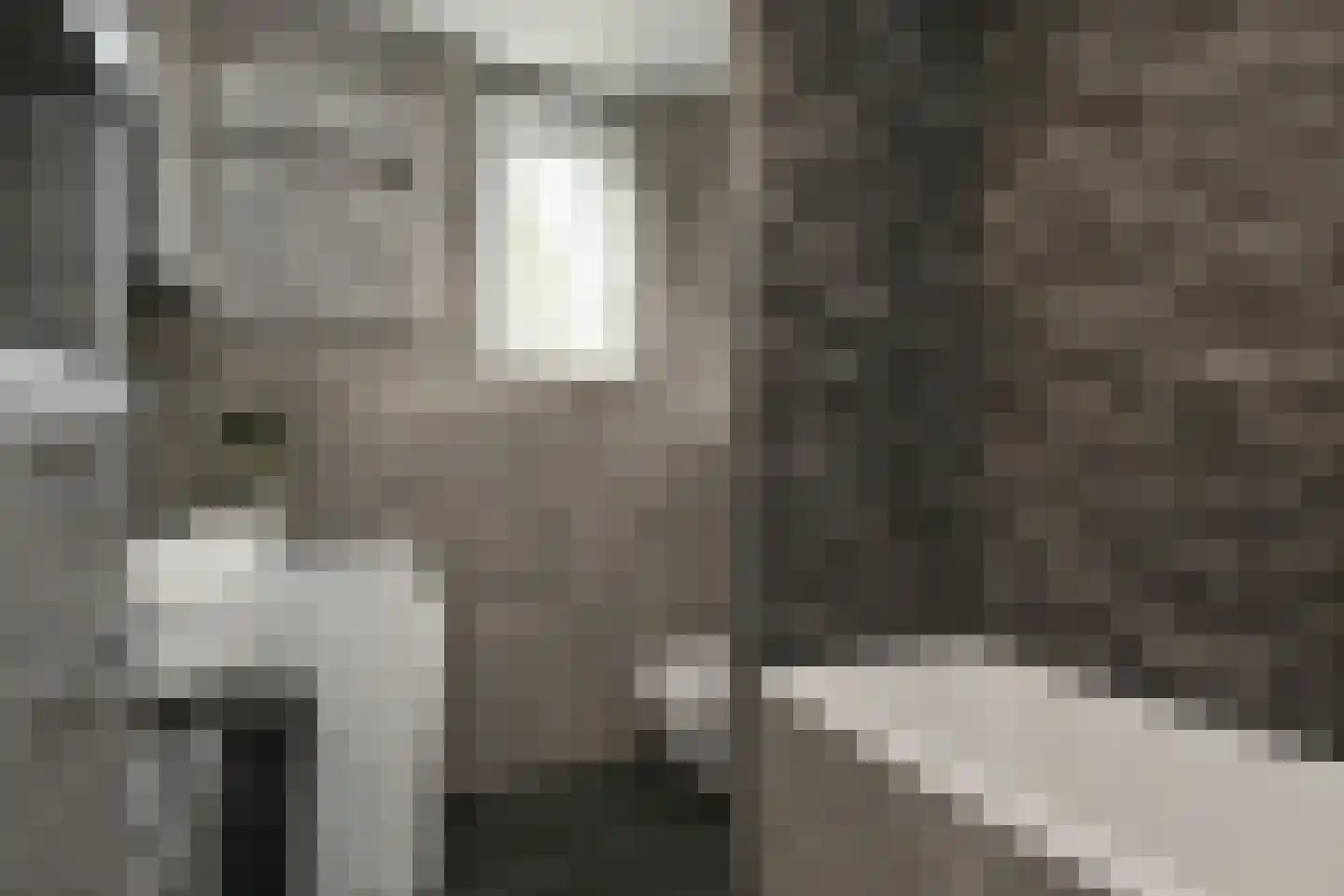 Lorrainelaan 1 Eindhoven thumbnail 14