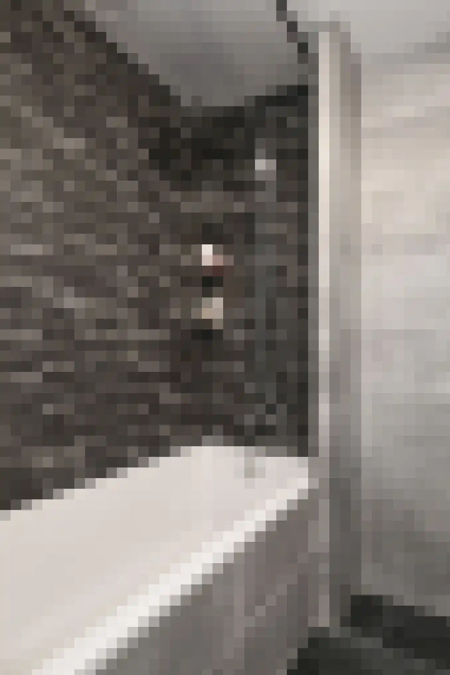Lorrainelaan 1 Eindhoven thumbnail 15