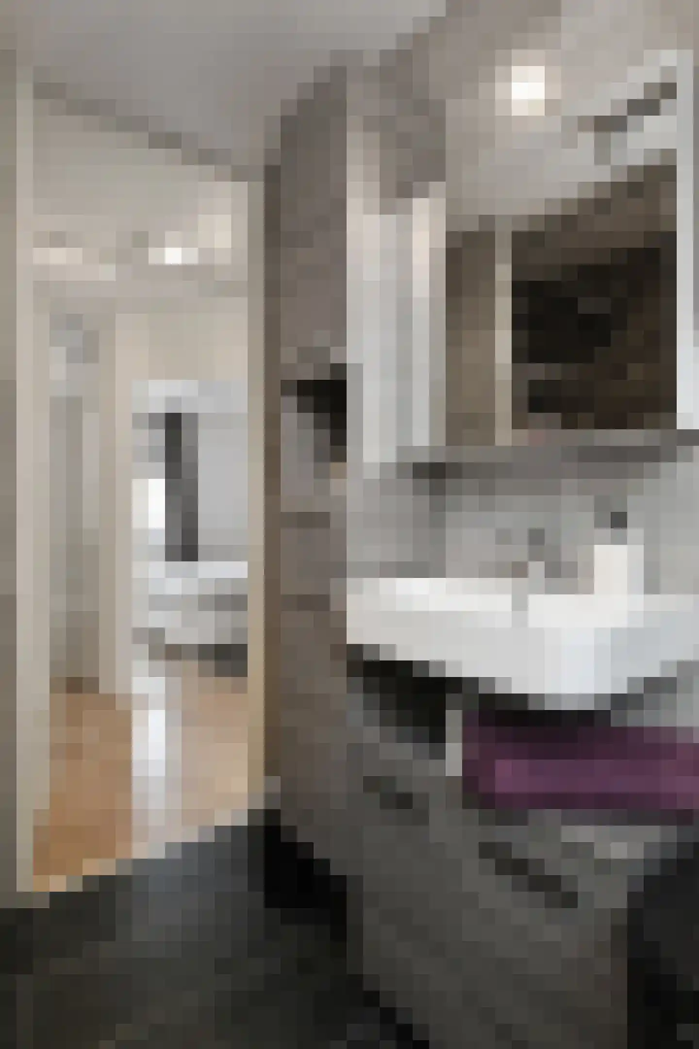 Lorrainelaan 1 Eindhoven thumbnail 16