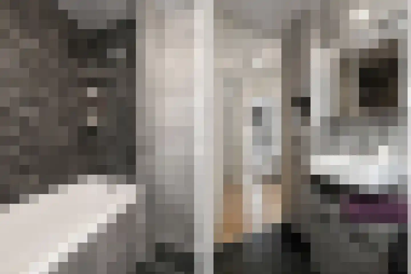 Lorrainelaan 1 Eindhoven thumbnail 17