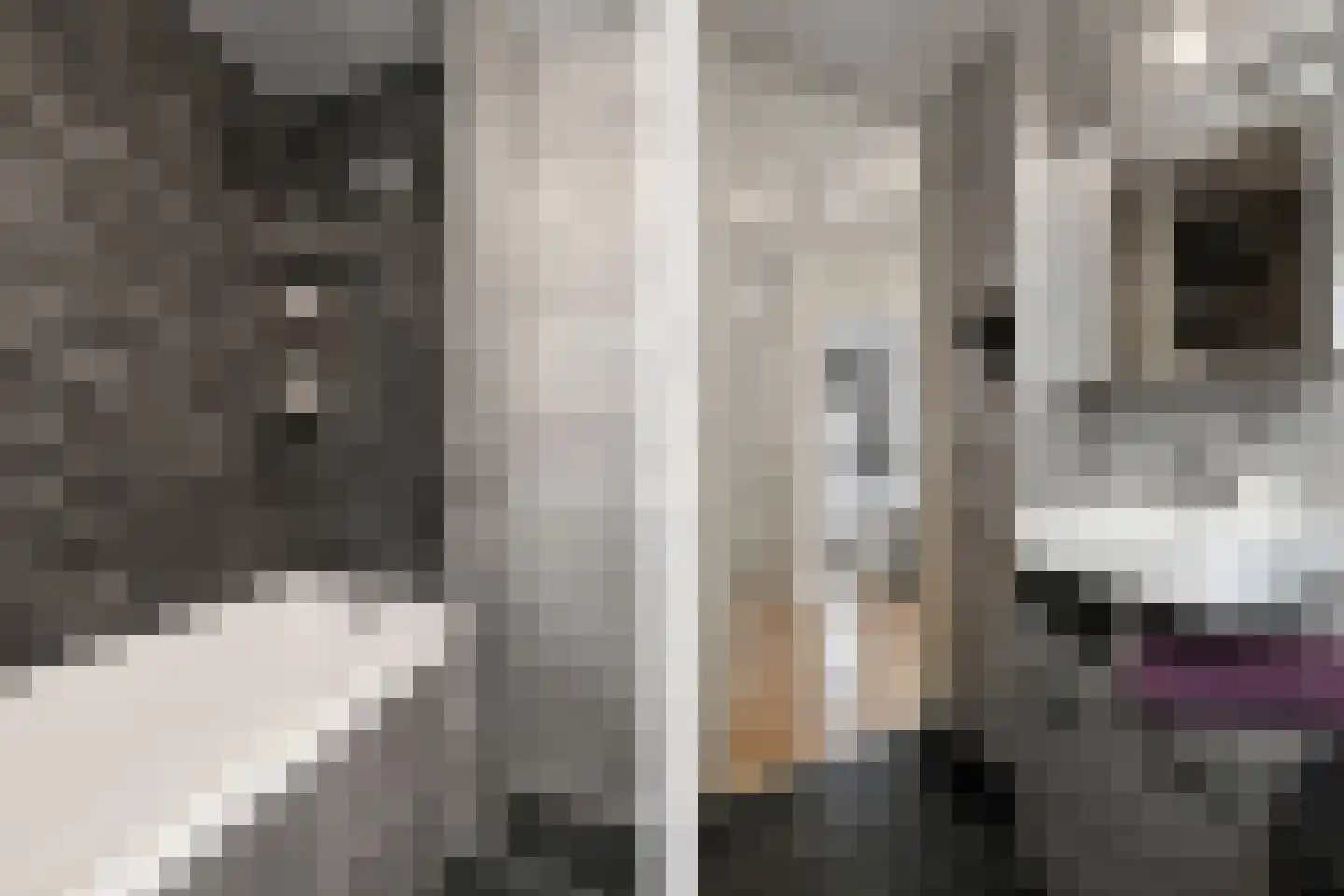 Lorrainelaan 1 Eindhoven thumbnail 18