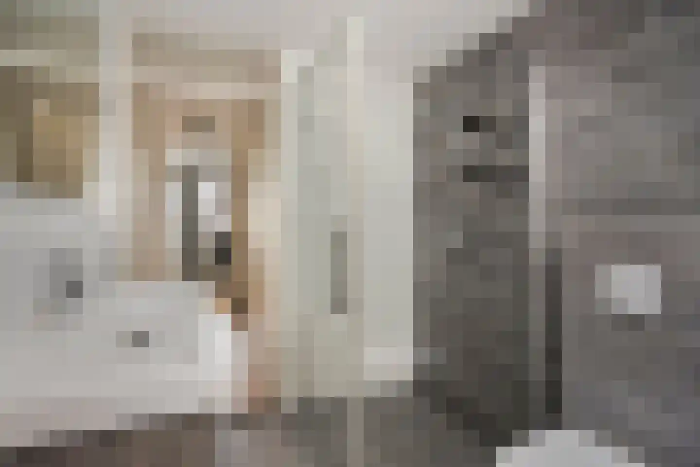 Lorrainelaan 18 Eindhoven thumbnail 23