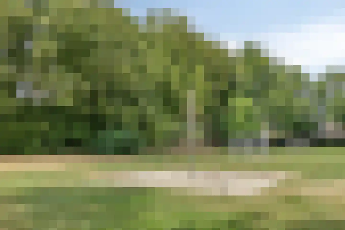 Lorrainelaan 18 Eindhoven thumbnail 40
