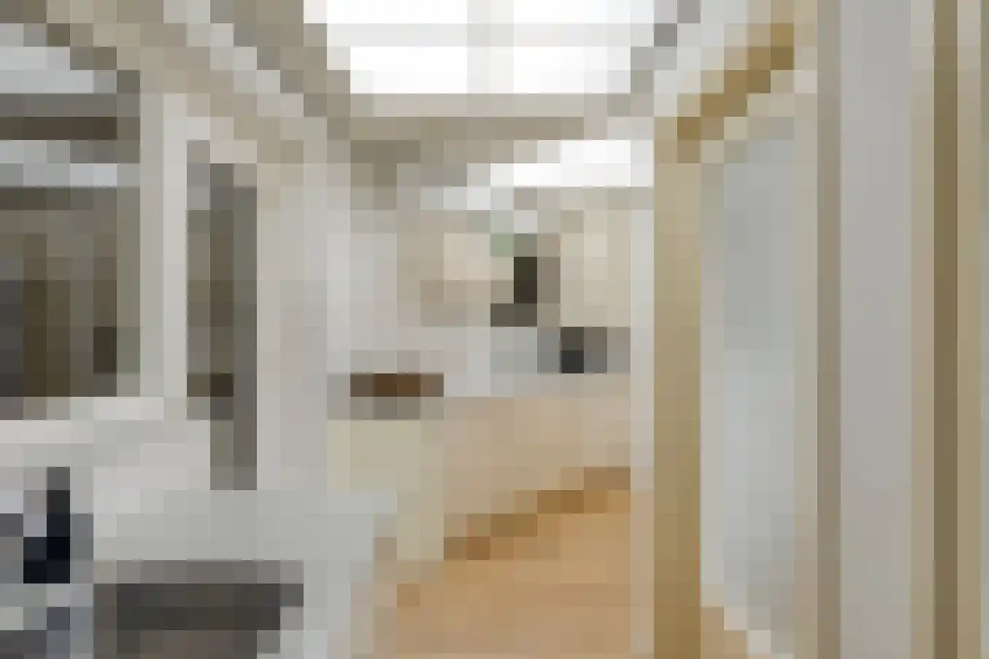 Lorrainelaan 8 Eindhoven thumbnail 16