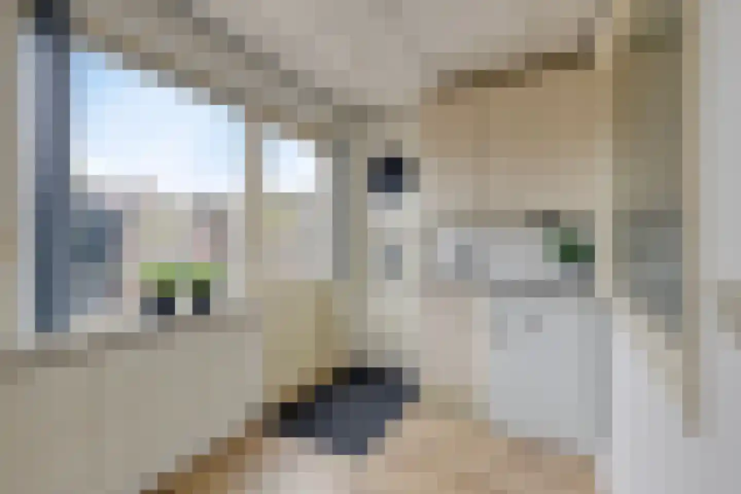 Lorrainelaan 8 Eindhoven thumbnail 18