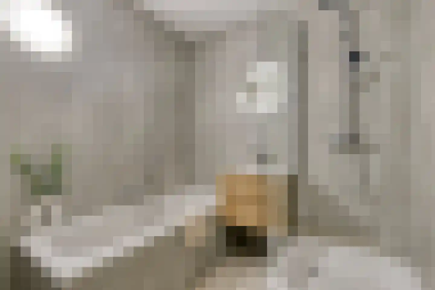 Lorrainelaan 8 Eindhoven thumbnail 22