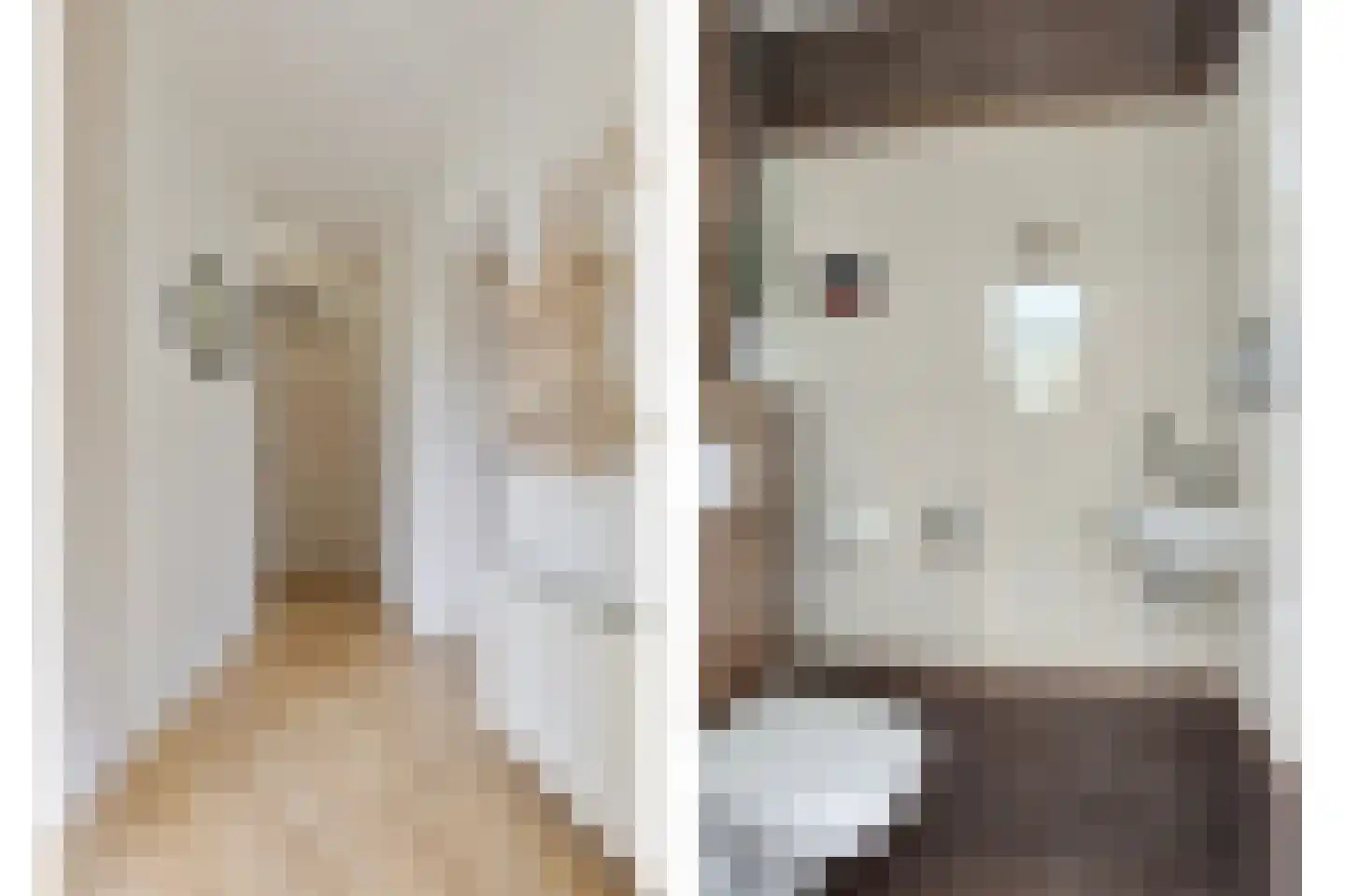 Lorrainelaan 8 Eindhoven thumbnail 8