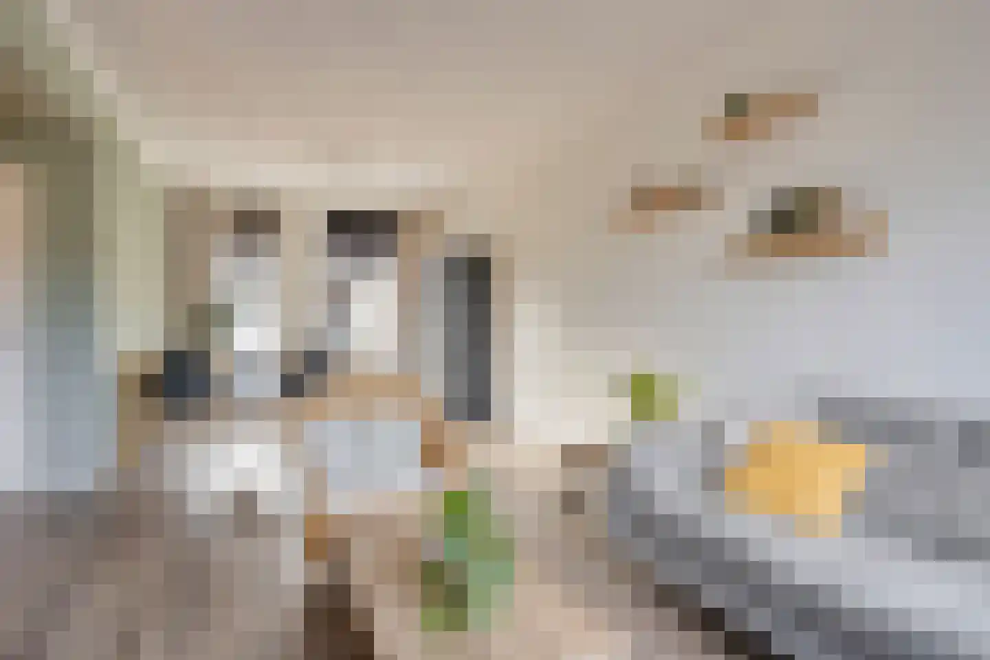 Lorrainelaan 84 Eindhoven thumbnail 12