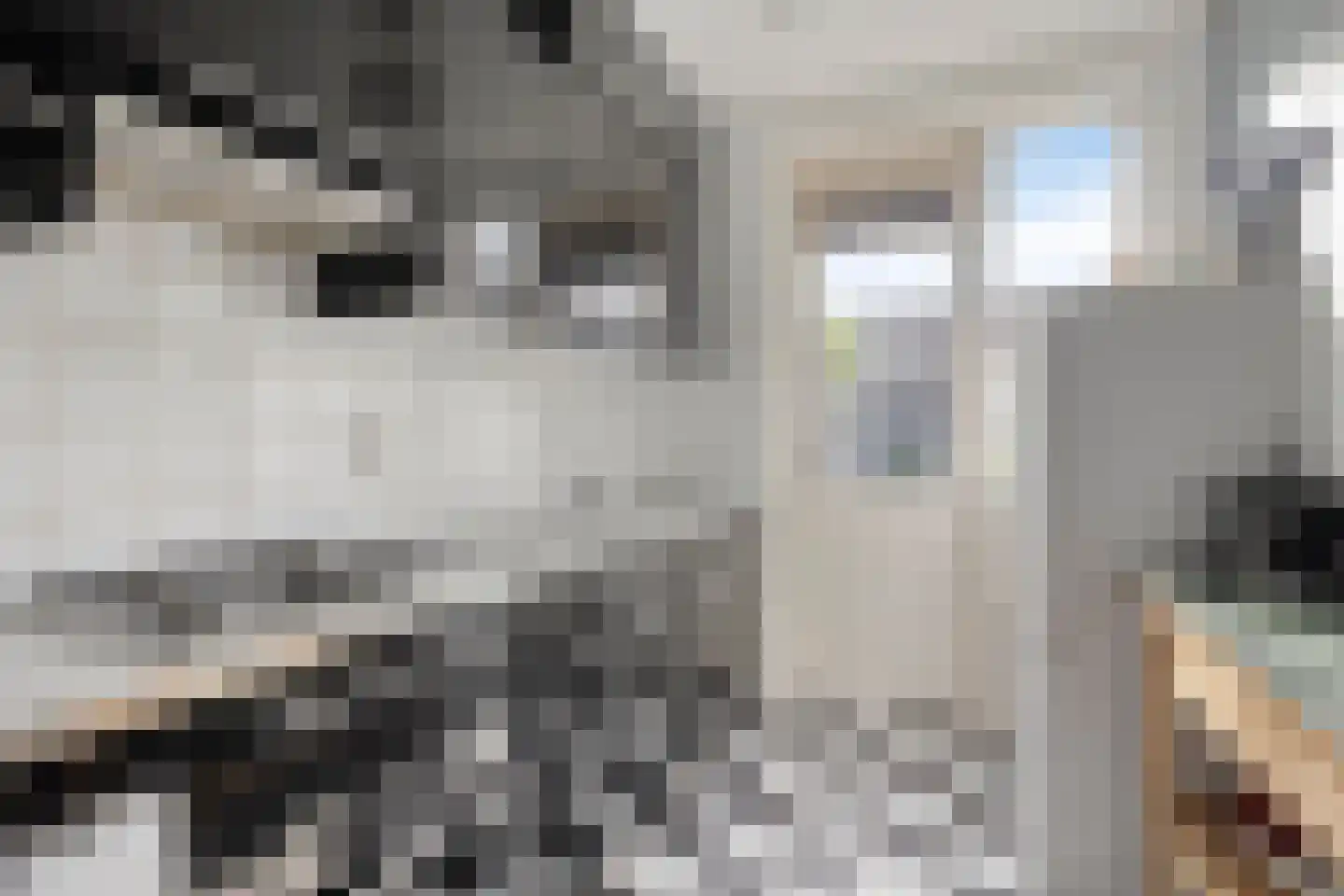 Lorrainelaan 84 Eindhoven thumbnail 17