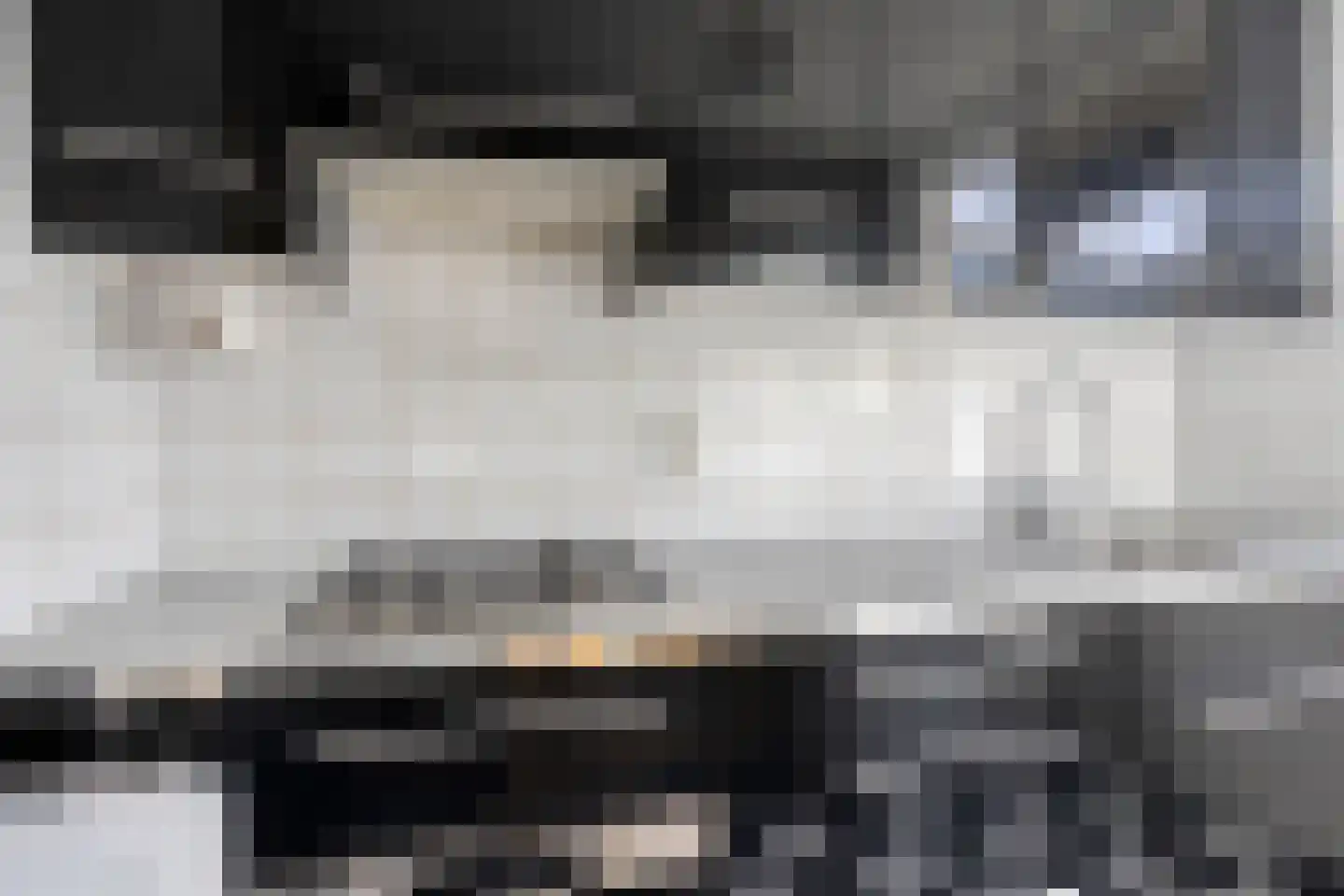 Lorrainelaan 84 Eindhoven thumbnail 18