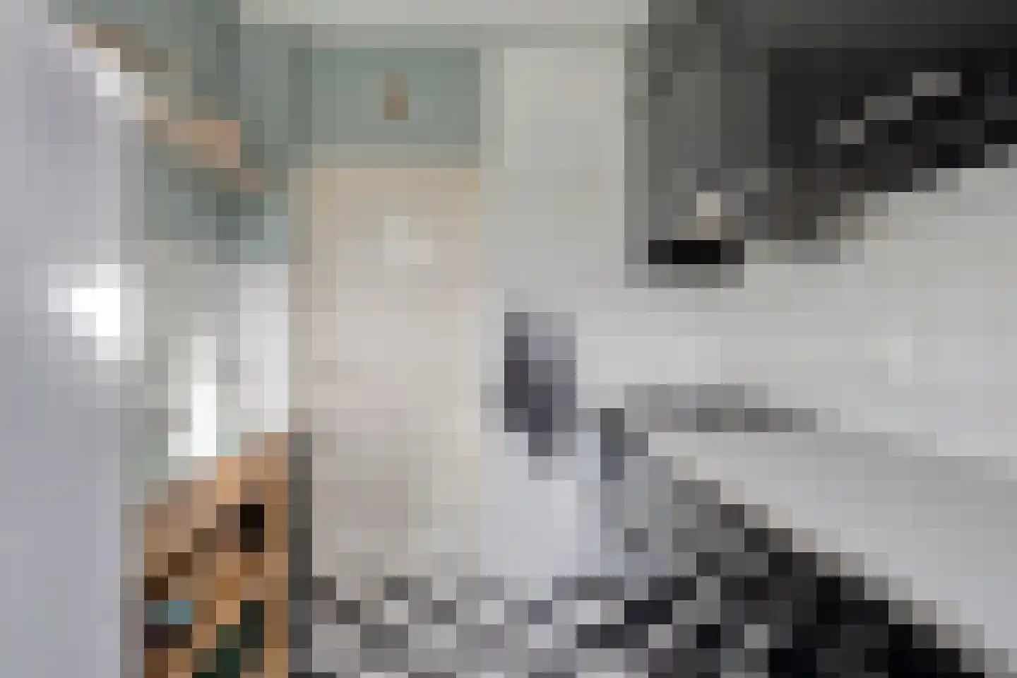 Lorrainelaan 84 Eindhoven thumbnail 19
