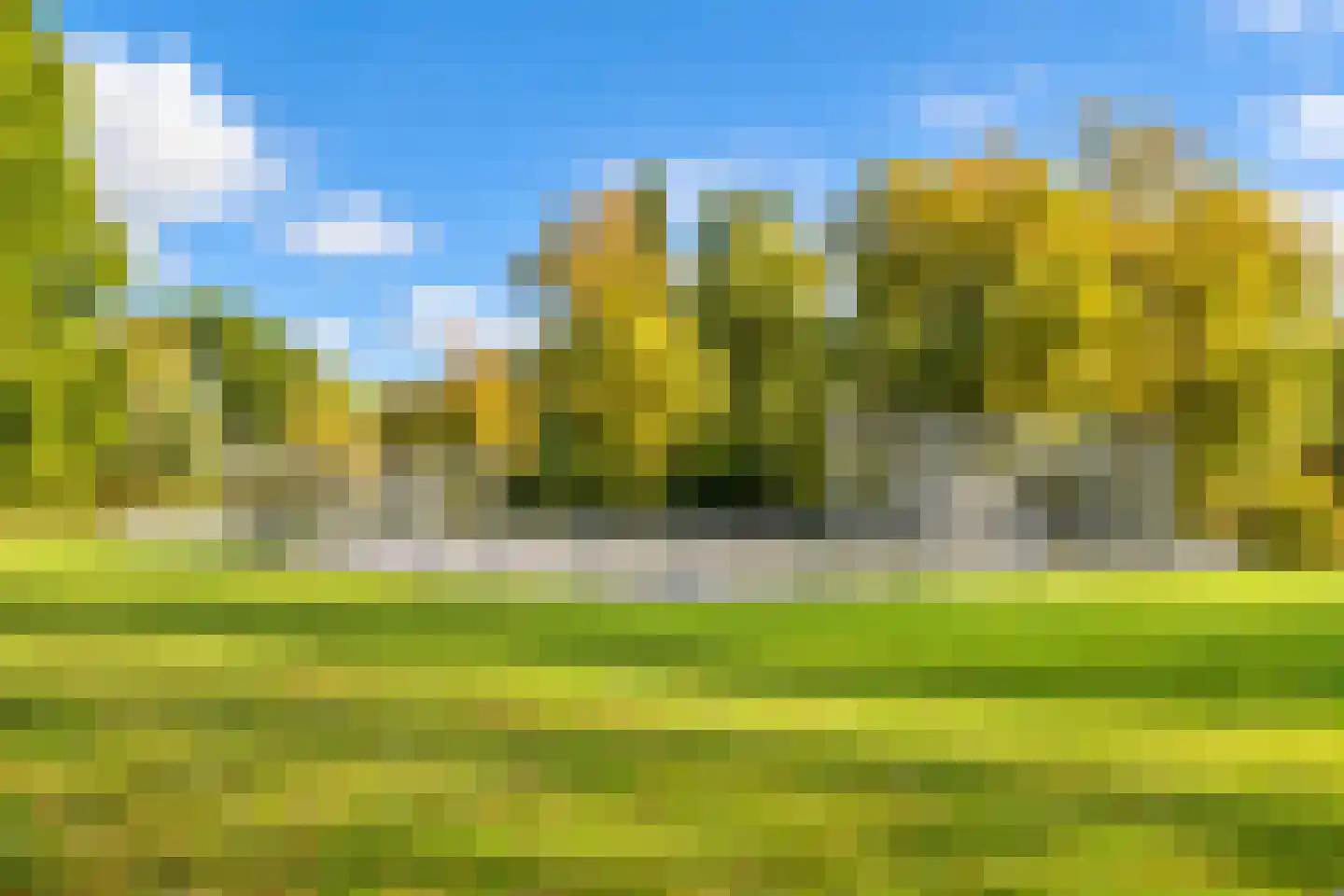 Lorrainelaan 84 Eindhoven thumbnail 32