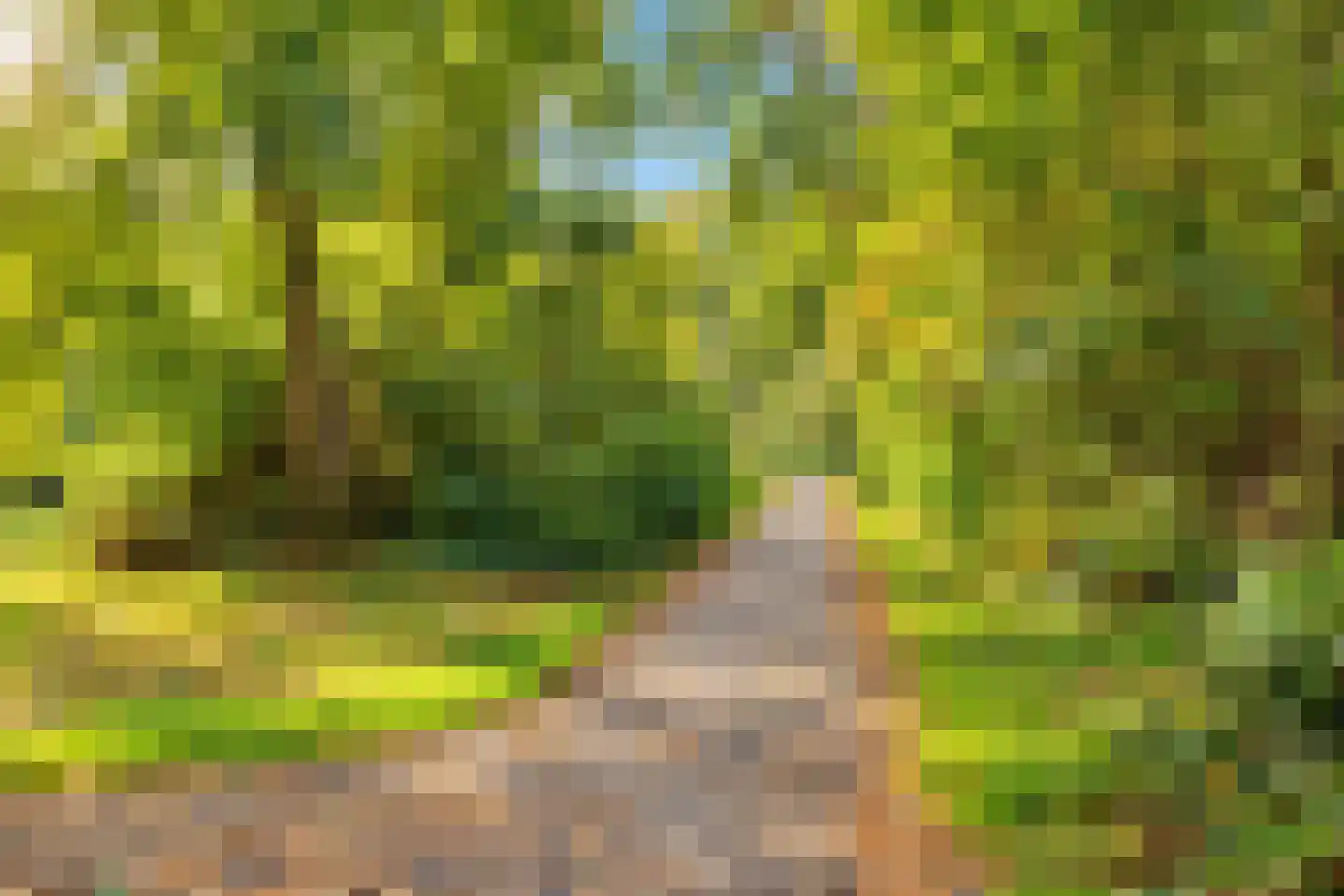 Lorrainelaan 84 Eindhoven thumbnail 33