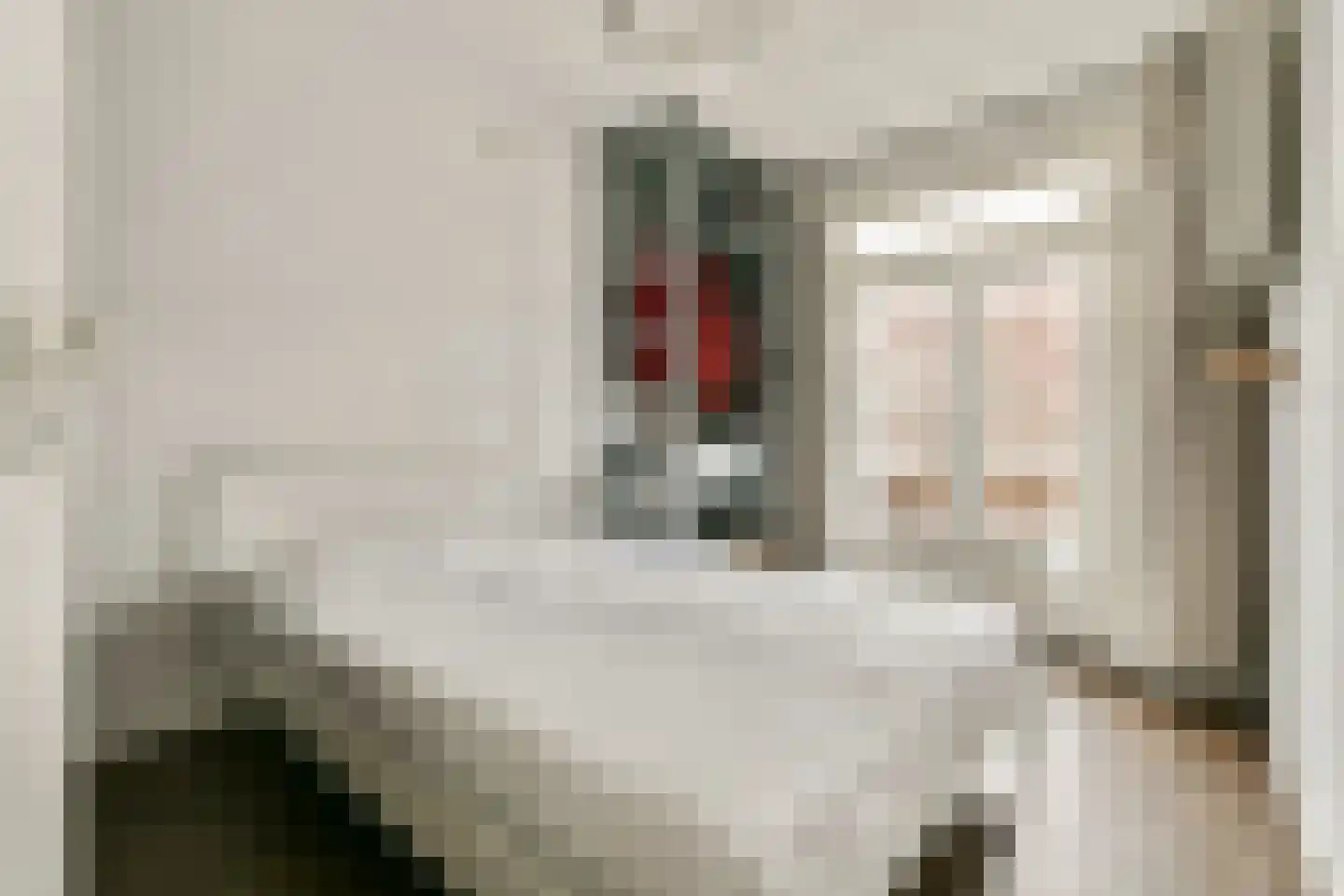 Lorreinenstraat 13 1 Amsterdam thumbnail 10