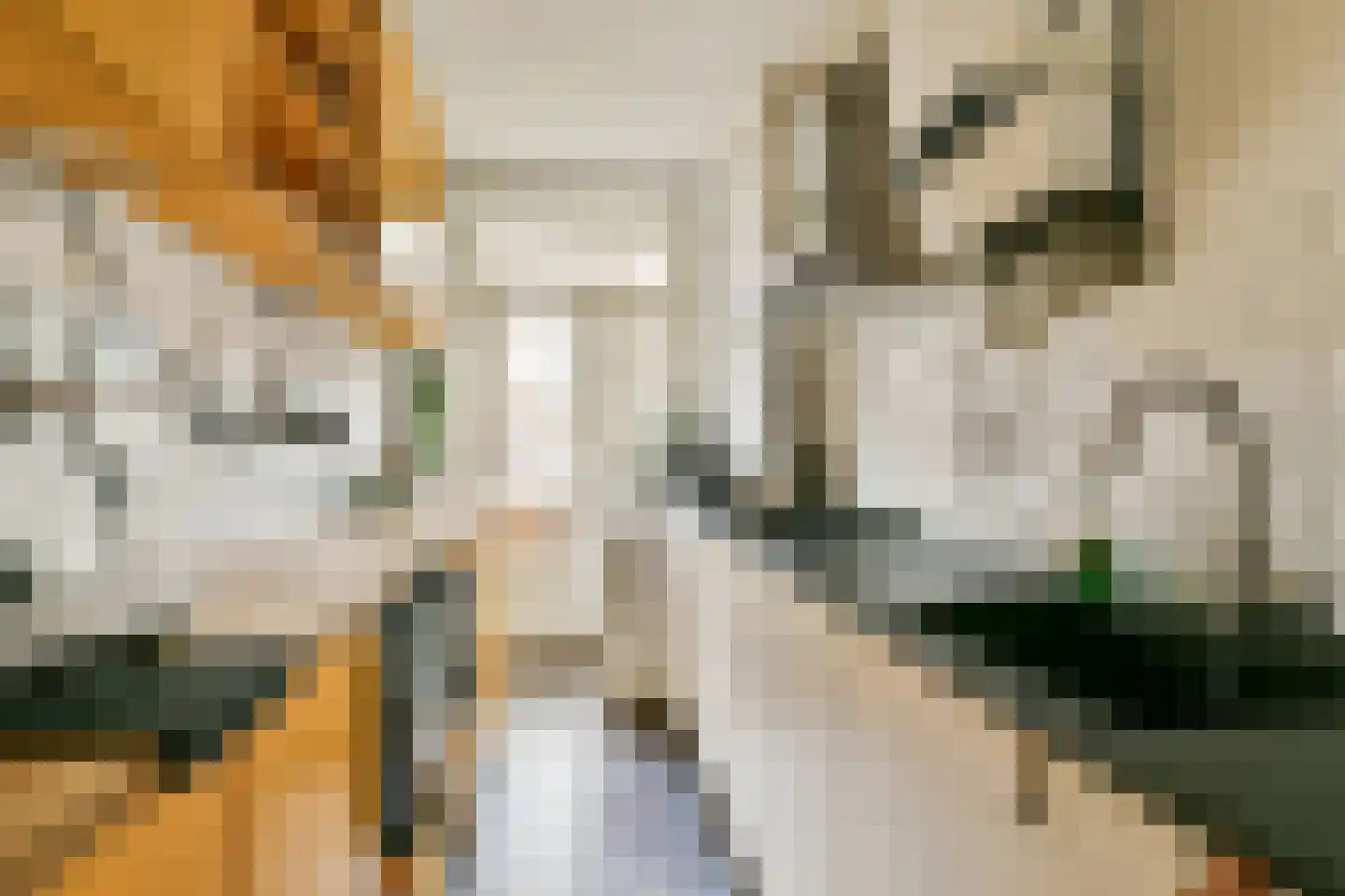 Lorreinenstraat 13 1 Amsterdam thumbnail 4