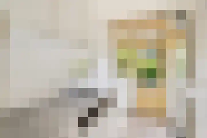 Lorreinenstraat 9 3 Amsterdam thumbnail 17