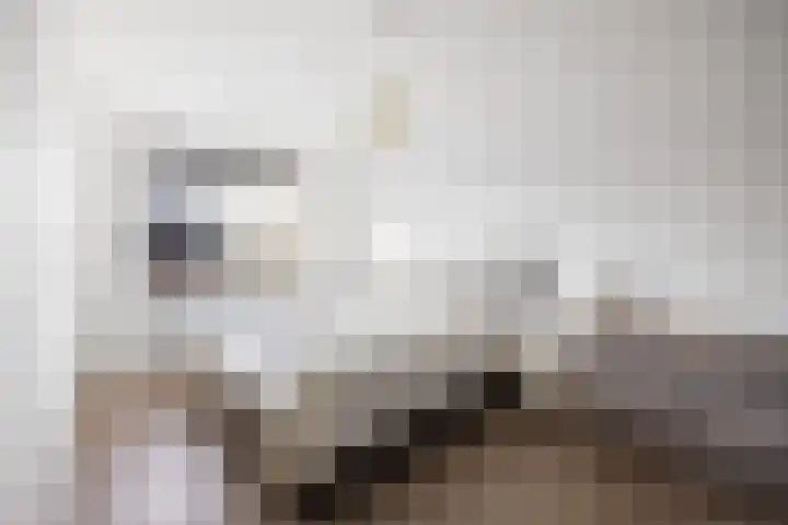 Lorrie 3 Druten thumbnail 28