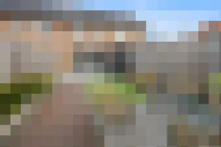 Lorrie 3 Druten thumbnail 41