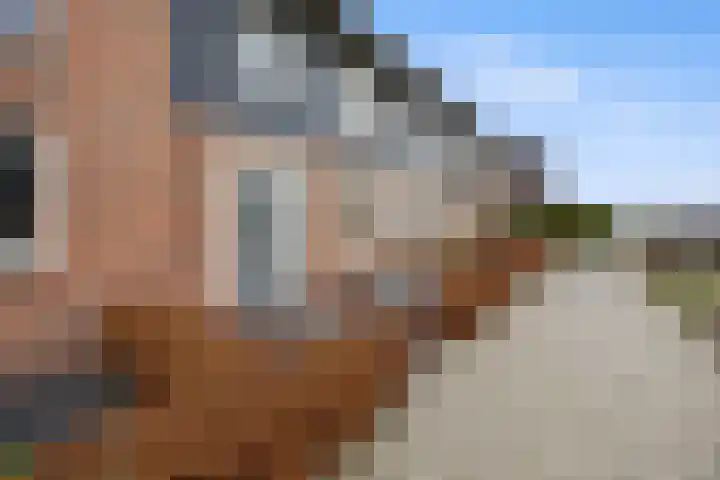 Lorrie 3 Druten thumbnail 49