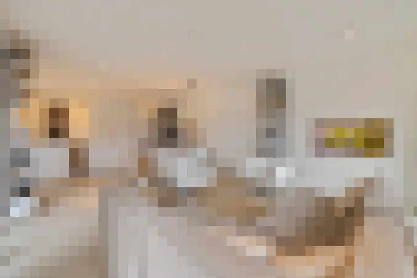 Lorriestraat 103 Amsterdam thumbnail 22