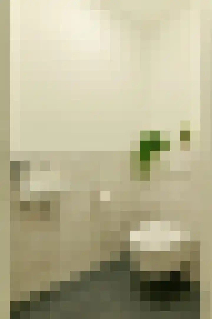 Lorriestraat 77 Amsterdam thumbnail 13