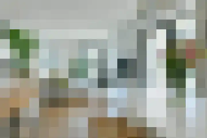 Lorriestraat 77 Amsterdam thumbnail 6