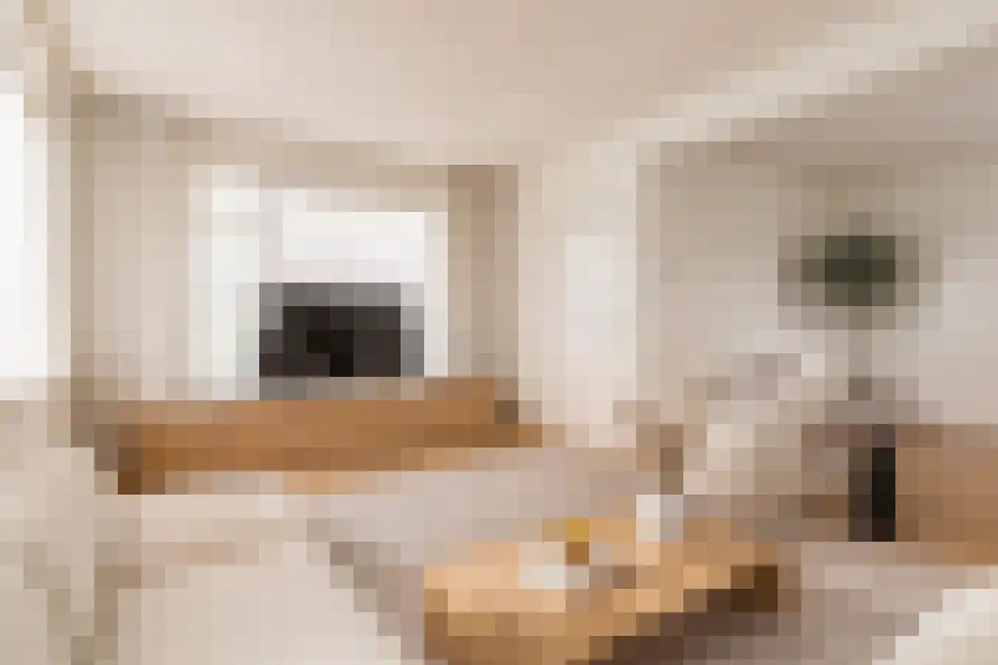Lorskensstraat 1 Schaijk thumbnail 15